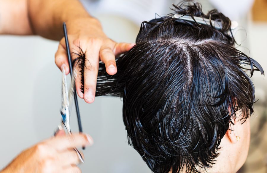 Stylist cutting a client's hair